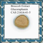 Broccoli Extract Glucoraphanin CAS 21414-41-5